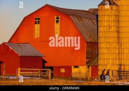 Amish Farmhouse an einem Wintertag in Mecosta County, Michigan, USA [keine Modell- oder Grundstücksfreigabe; nur redaktionelle Lizenzierung] Stockfoto