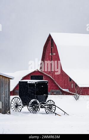 Black Amish Buggy und Red Scheune sind eine grafische Ansicht des Winters in Mecosta County, Michigan, USA [keine Property Release; nur redaktionelle Lizenzierung] Stockfoto