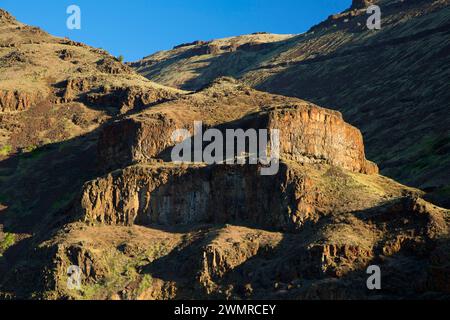 Canyon Hang, Deschutes Wild and Scenic River, untere Deschutes National wieder Country Byway, Oregon Stockfoto