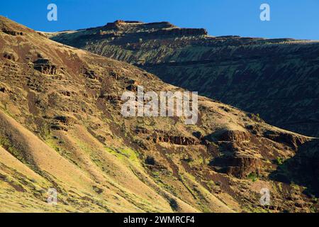 Canyon Hang, Deschutes Wild and Scenic River, untere Deschutes National wieder Country Byway, Oregon Stockfoto