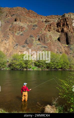 Fliegenfischen der Deschutes Wild und Scenic River, Wild und Scenic Deschutes River, untere Deschutes National Back Country Byway, Oregon Stockfoto