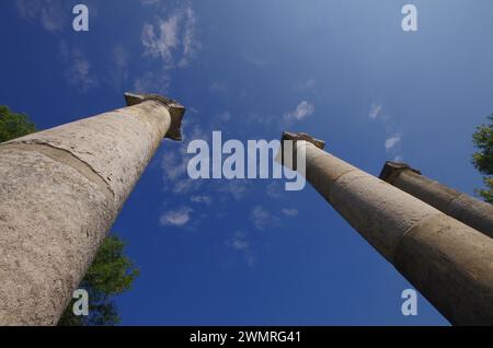 Altilia: Reste von Säulen aus der Römerzeit ragen vor dem blauen Himmel hervor. Molise, Italien Stockfoto