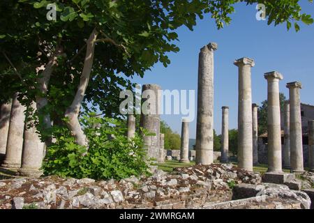 Archäologische Stätte von Altilia: Überreste von Säulen, die anzeigen, wo die Basilika einst stand. Sepino, Molise, Italien Stockfoto