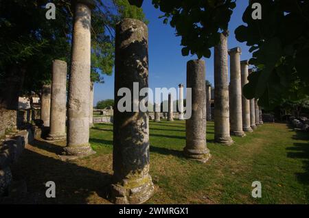 Archäologische Stätte von Altilia: Überreste von Säulen, die anzeigen, wo die Basilika einst stand. Sepino, Molise, Italien Stockfoto