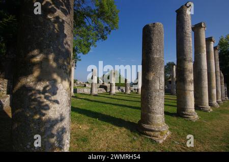 Archäologische Stätte von Altilia: Überreste von Säulen, die anzeigen, wo die Basilika einst stand. Sepino, Molise, Italien Stockfoto