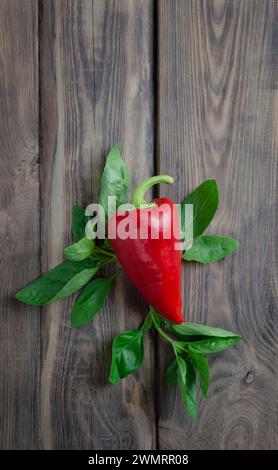 Paprika und Gewürze. Spinatbunch, süße Paprika und Gemüse, frisches grünes Blatt. Gesunde Ernährung von natürlichem Bio-Gemüse. grüne von der Garde Stockfoto