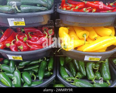 Verschiedene bunte heiße Chili-Paprika auf einem traditionellen Gemüsemarkt in Houston, Texas. Jalapeno, süßer Bananenpfeffer, Poblano und Red Fresno. Stockfoto