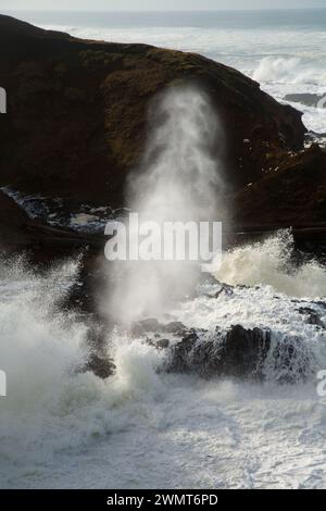 Jubelnde Horn von Köche Abgrund Viewpoint, Cape Perpetua Scenic Area, siuslaw National Forest, Oregon Stockfoto