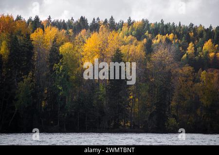 Nuuksio Nationalpark während der schönen Herbstsaison, Espoo, Finnland Stockfoto