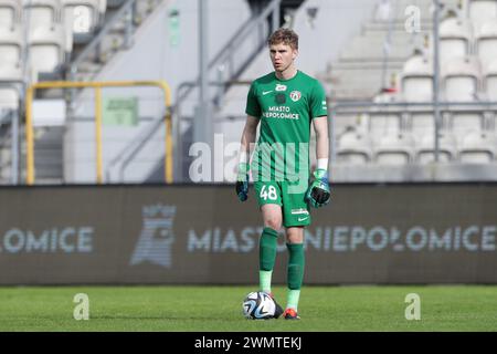 Krakau, Polen. Februar 2024. Oliwier Zych von Puszcza Niepolomice wurde während des polnischen PKO Ekstraklasa League 2023/2024 zwischen Puszcza Niepolomice und Zaglebie Lubin im Cracovia Stadion gesehen. Endpunktzahl: Puszcza Niepolomice 2:2 Zaglebie Lubin. (Foto: Grzegorz Wajda/SOPA Images/SIPA USA) Credit: SIPA USA/Alamy Live News Stockfoto