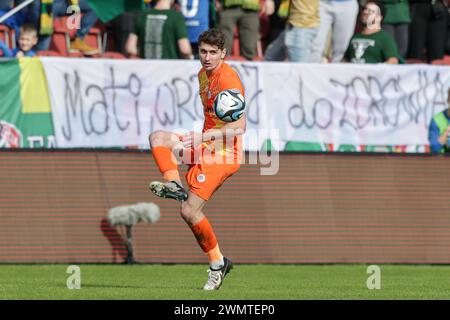 Krakau, Polen. Februar 2024. Aleks Lawniczak von Zaglebie Lubin wurde während des Polnischen PKO Ekstraklasa League 2023/2024 im Cracovia Stadion gesehen. Endpunktzahl: Puszcza Niepolomice 2:2 Zaglebie Lubin. (Foto: Grzegorz Wajda/SOPA Images/SIPA USA) Credit: SIPA USA/Alamy Live News Stockfoto