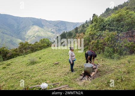 Bogota, Kolumbien. Februar 2024. Bewohner und Friedensunterzeichner der Gemeinde Palmitas, Antioquia, arbeiten am 25. Februar 2024 an der Anpassung des Landes für territoriale Verteidigung und Einheit der Gemeinschaft. Foto: Juan J. Eraso Credit: Long Visual Press/Alamy Live News Stockfoto