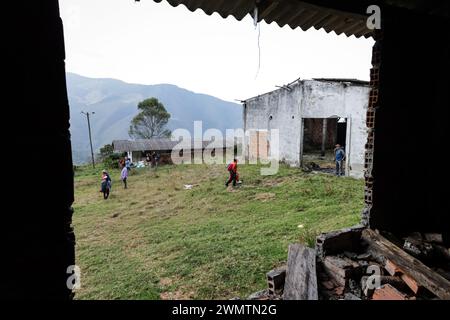 Bogota, Kolumbien. Februar 2024. Bewohner und Friedensunterzeichner der Gemeinde Palmitas, Antioquia, arbeiten am 25. Februar 2024 an der Anpassung des Landes für territoriale Verteidigung und Einheit der Gemeinschaft. Foto: Juan J. Eraso Credit: Long Visual Press/Alamy Live News Stockfoto