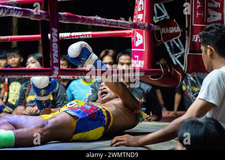 Koh Chang, Thailand. Februar 2024. Der thailändische Boxer Petch Si Nel in der Mitte sah, wie er versuchte, nach einem K.O. aufzustehen, beobachtet vom Publikum während der wöchentlichen Muay Thai Fights Show, die von der Koh Chang Fight School auf Koh Chang Island organisiert wurde. Das Spiel zwischen Frame Payak und Petch Si Nel im Thai-Boxen gewann Frame Payak durch Knockout. (Foto: Nathalie Jamois/SOPA Images/SIPA USA) Credit: SIPA USA/Alamy Live News Stockfoto