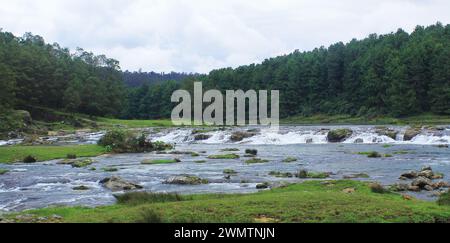 Der wunderschöne Pykara-Fluss fließt durch das üppige Tal und die Pinienwälder bedeckten nilgiri-Gebirgsausläufer in der Nähe der Oooty Hill Station in tamilnadu, indien Stockfoto