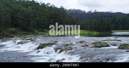 Der wunderschöne Pykara-Fluss fließt durch das üppige Tal und die Pinienwälder bedeckten nilgiri-Gebirgsausläufer in der Nähe der Oooty Hill Station in tamilnadu, indien Stockfoto