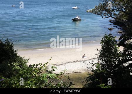 Whiting Beach, Mosman, Sydney, Australien Stockfoto