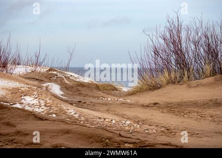 Sanddünen mit kleinen Ästen auf der Düne Stockfoto