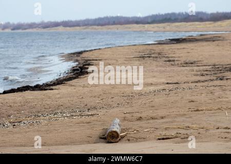 Ein verwaschenes Stück Holz am Meer liegt im Sand vor einem Hintergrund von blauem Meer und Himmel Stockfoto