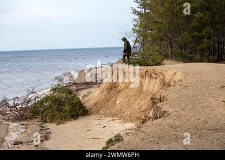 Eine Person spaziert am Rand einer ausgebrannten Düne am Ufer der Ostsee mit umgestürzten Bäumen im Wasser Stockfoto