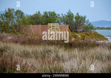 Vogelbeobachtung in Estany Pudent, Formentera, Pitiusas-Inseln, Balearen, Spanien Stockfoto