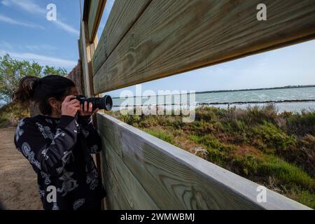 Vogelbeobachtung in Estany Pudent, Formentera, Pitiusas-Inseln, Balearen, Spanien Stockfoto