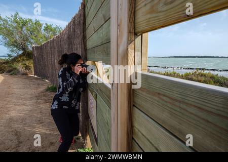 Vogelbeobachtung in Estany Pudent, Formentera, Pitiusas-Inseln, Balearen, Spanien Stockfoto