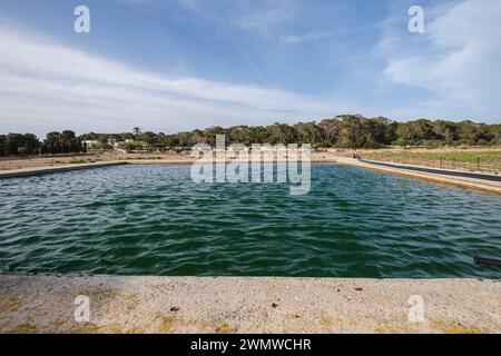 Safereig, Formentera, Pitiusas-Inseln, Balearen, Spanien Stockfoto