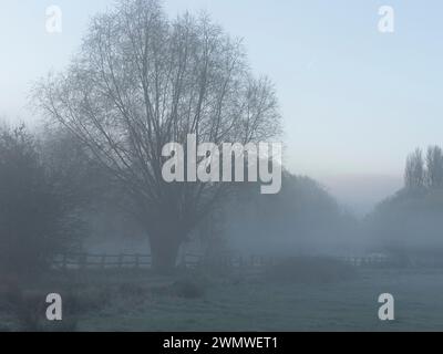 Early Morning Mist Landscape, Iffley Meadows, Oxford UK Stockfoto