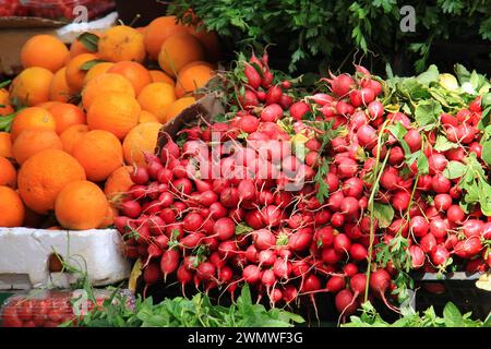 Eine Ernte Rettich und Orangen zwischen Minze und Petersilie auf einem Bauernmarkt. Stockfoto