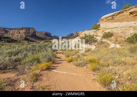 Der Weg zu Devil's Kitchen im Colorado National Monument Stockfoto