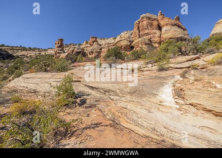 Entlang des Devil's Kitchen Trail im Colorado National Monument Stockfoto