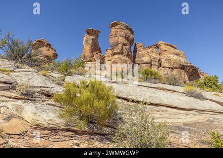 Seltsam geformte Felsformationen im Devil's Kitchen im Colorado National Monument Stockfoto