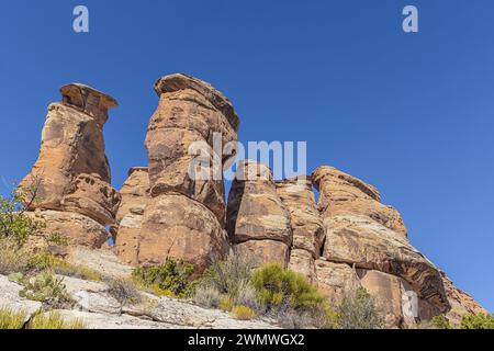 Nahaufnahme seltsam geformter Felsformationen in der Devil's Kitchen im Colorado National Monument Stockfoto