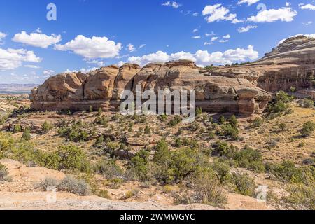 Schichtung von Felsschichten entlang des Devil's Kitchen Trail im Colorado National Monument Stockfoto