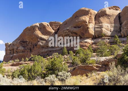 Nahaufnahme der geschichteten Felsen entlang des Devil's Kitchen Trail im Colorado National Monument Stockfoto