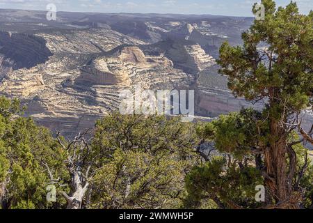Blick auf den Green River vom Harper's Trail im Dinosaur National Monument Stockfoto