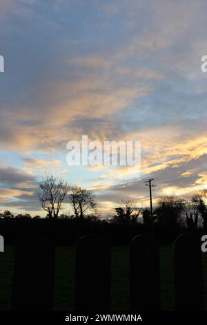 Sonnenuntergang über dunkelschwarzen Hecken im Winter im ländlichen Irland. Porträt-Poster mit Kopierraum-Grafik-Ressource Bruff, County Limerick Stockfoto