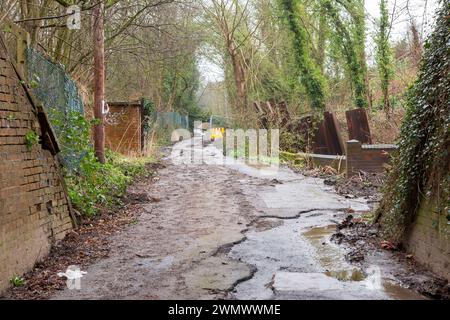 Dudley, West Midlands, Großbritannien. Februar 2024. Nach der Nachricht, dass die Besitzer des Crooked House, das letzten August niedergebrannt wurde, angewiesen wurden, den berühmten Pub in der Nähe von Dudley, West Midlands, wiederaufzubauen. Der Standort verschlechtert sich derzeit, und die zweihundert-Meter-Straße, die zum Pub-Gelände führt, ist von umgestürzten Bäumen blockiert und hat an der Seite der Straße verstreuten Müll mit Fliegenkippen. Quelle: Peter Lopeman/Alamy Live News Stockfoto