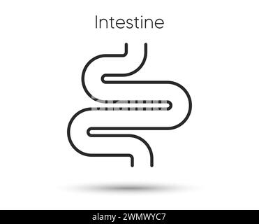 Symbol für Darmlinie. Verdauungszeichen. Darmsymbol. Darmspiegelung. Vektor Stock Vektor