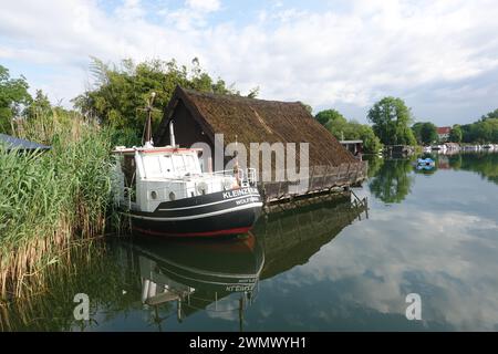 Alter Kutter, festgemacht im Schilf neben einem Bootshaus im Schwarzen See, Flecken Zechlin, Brandenburg, Deutschland, Rheinsberg Stockfoto