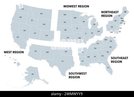 USA, geografische Regionen, graue politische Karte. Fünf Regionen, je nach geographischer Lage auf dem Kontinent. Stockfoto