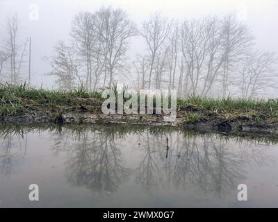 Winter im Siegerland. Der Tag startet wie hier bei Siegen-Oberschelden kalt und ungemuetlich ungemütlich mit Nebel. Baeume Bäume spiegeln sich in einer Pfuetze Pfütze Winter im Siegerland am 28.02.2024 in Siegen/Deutschland. *** Winter im Siegerland der Tag beginnt wie hier bei Siegen Oberschelden kalt und ungemütlich mit Nebelbäumen spiegeln sich in einer Pfütze der Winter im Siegerland am 28 02 2024 in Siegen wider Stockfoto