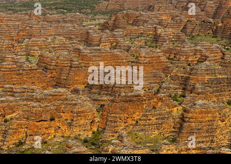 Berühmte Kuppeln des Bungle Bungles Purnululu Nationalparks im Westen Australiens Stockfoto