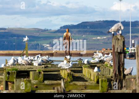 Antony Gormleys SECHSFACHE letzte Figur in Leith Docks, Edinburgh Stockfoto