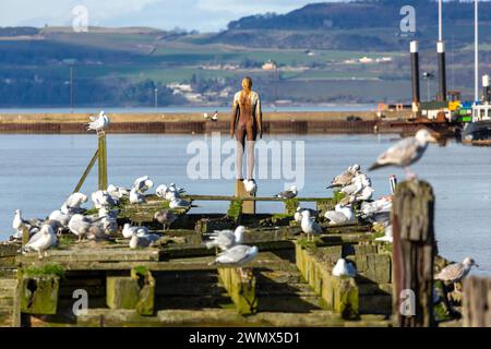 Antony Gormleys SECHSFACHE letzte Figur in Leith Docks, Edinburgh Stockfoto