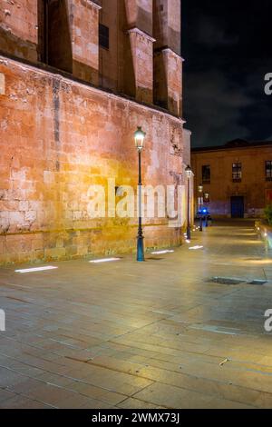 Palma, Spanien, beleuchtet die Kathedrale Santa Maria von Palma (Kathedrale von St. Maria von Palma) oder als La Seu bekannt, nur redaktionell. Stockfoto