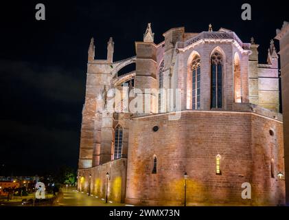 Palma, Spanien, beleuchtet die Kathedrale Santa Maria von Palma (Kathedrale von St. Maria von Palma) oder als La Seu bekannt, nur redaktionell. Stockfoto
