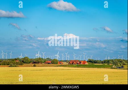 Ländliche Szene mit Windturbinen hinter einem goldenen gelben Feld und Bauernhäusern unter einem bewölkten blauen Himmel, Windpark in der Nähe von Nessmersiel, Dornum, Ostfriesland Stockfoto