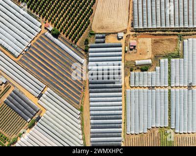 Kunststoffgewächshäuser mit Erdbeeranbau und anderen Kulturfeldern in der Nähe der Stadt Lepe. Luftaufnahme. Drohnenaufnahme. Provinz Huelva Stockfoto